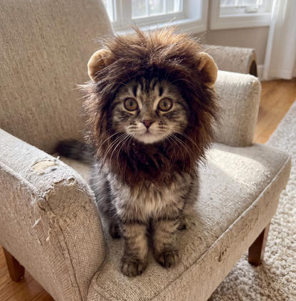 Little Lion Scar